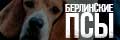 Берлинские псы
