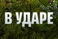 В ударе